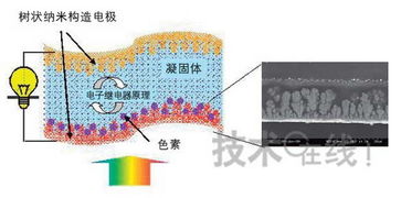 日本开发出采用固体电解质的色素增感型太阳能电池