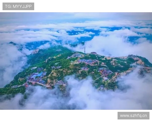 山东泰山重回巅峰之路是否面临挑战，现状分析及阶段性表现回顾